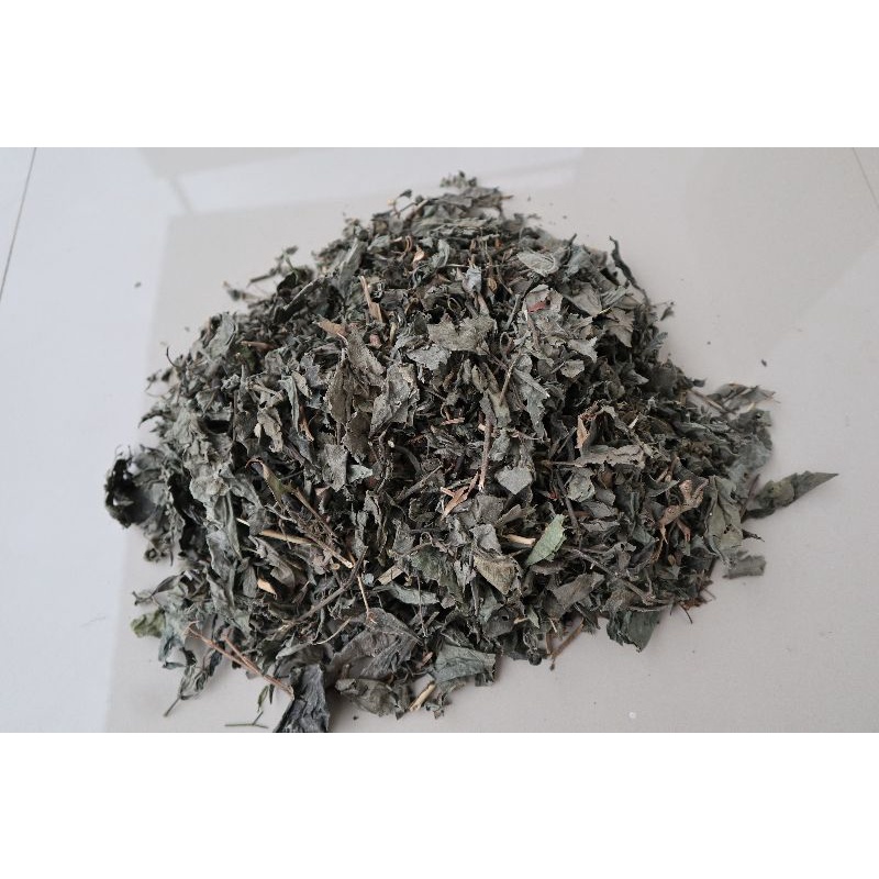 Jual Herbal Daun Keji Beling Kering Kg Shopee Indonesia