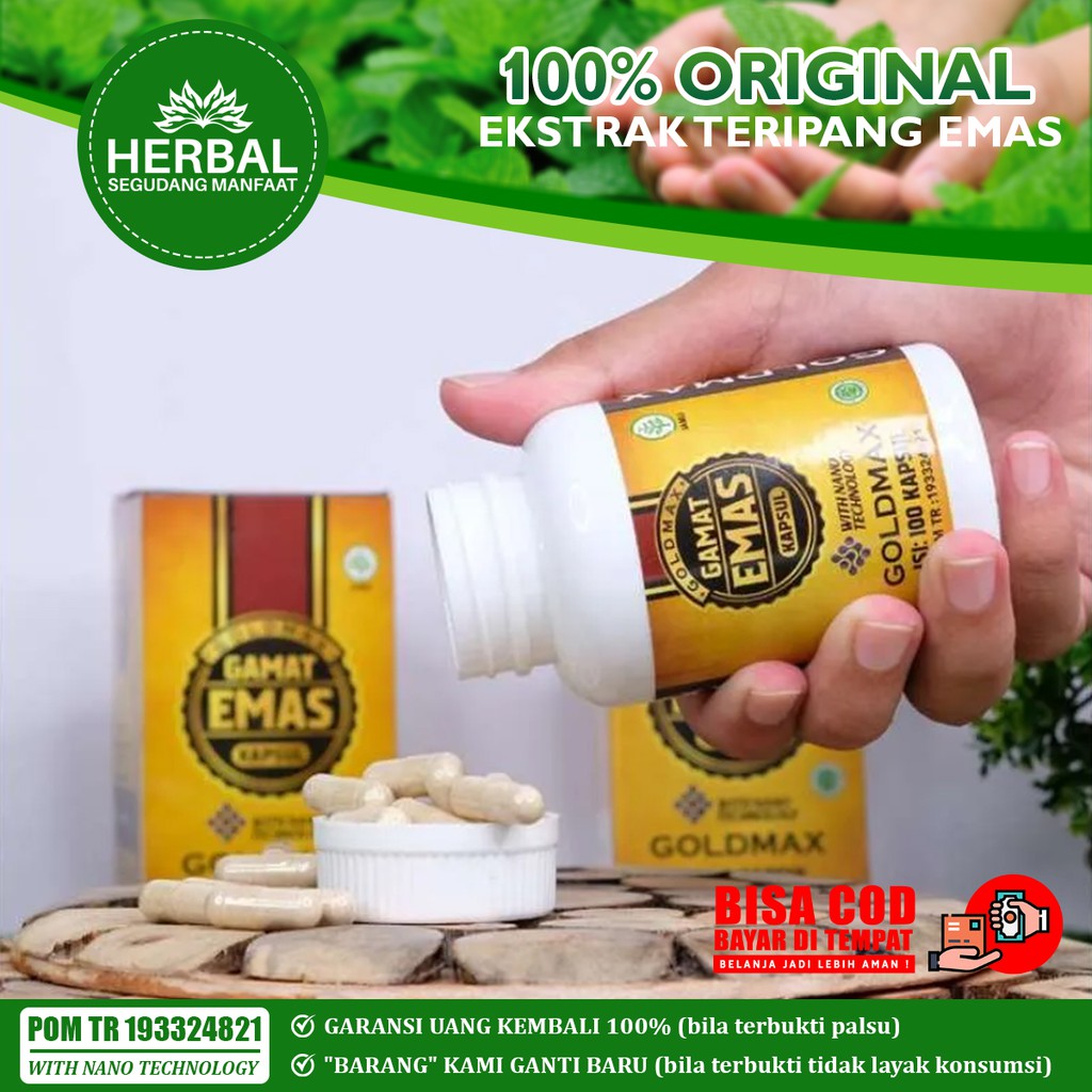 Jual Gamat Emas Kapsul Goldmax 100 Original Herbal Multikhasiat