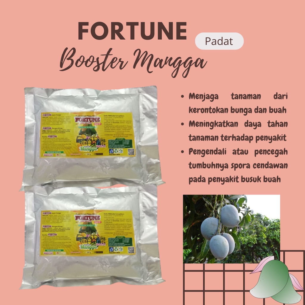 Jual Pupuk Booster Mangga, Perangsang Cepat Berbuah, Nutrisi Pohon ...