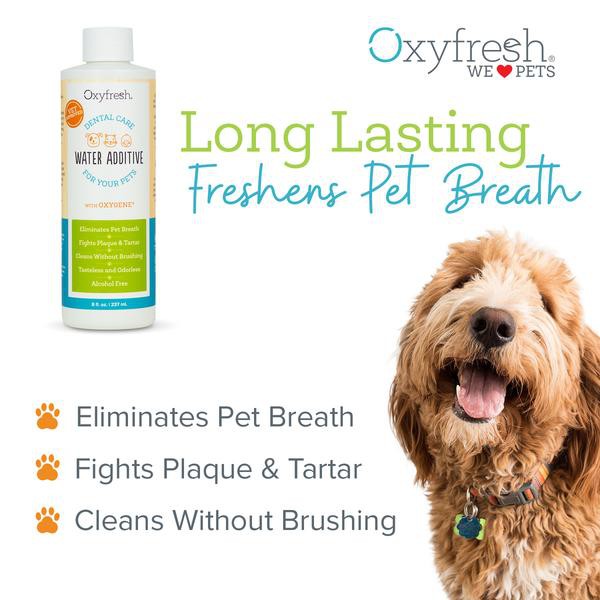 Jual Oxyfresh Obat Penghilang Bau Mulut Kucing Anjing Pet