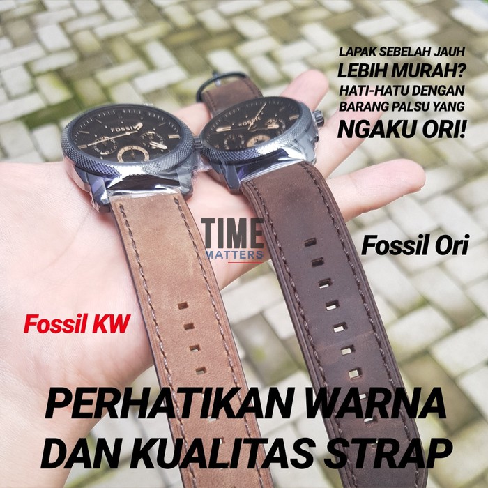 Cara Membedakan Fossil Asli dan Palsu