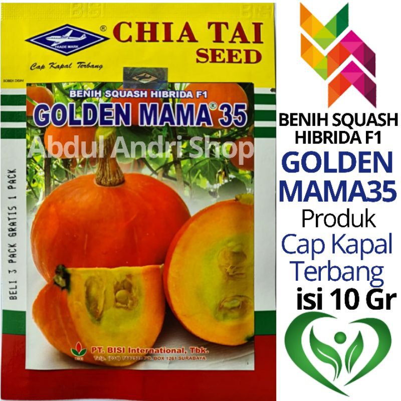 Jual Benih Labu Waluh - Squash GOLDEN MAMA isi 10 Gr Produk Cap Kapal ...
