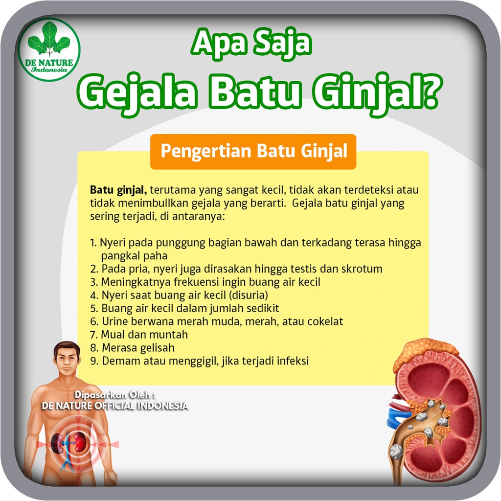 Jual Paket Obat Kencing Batu Ginjal Herbal DeNature Galgin dan Gang Jie ...