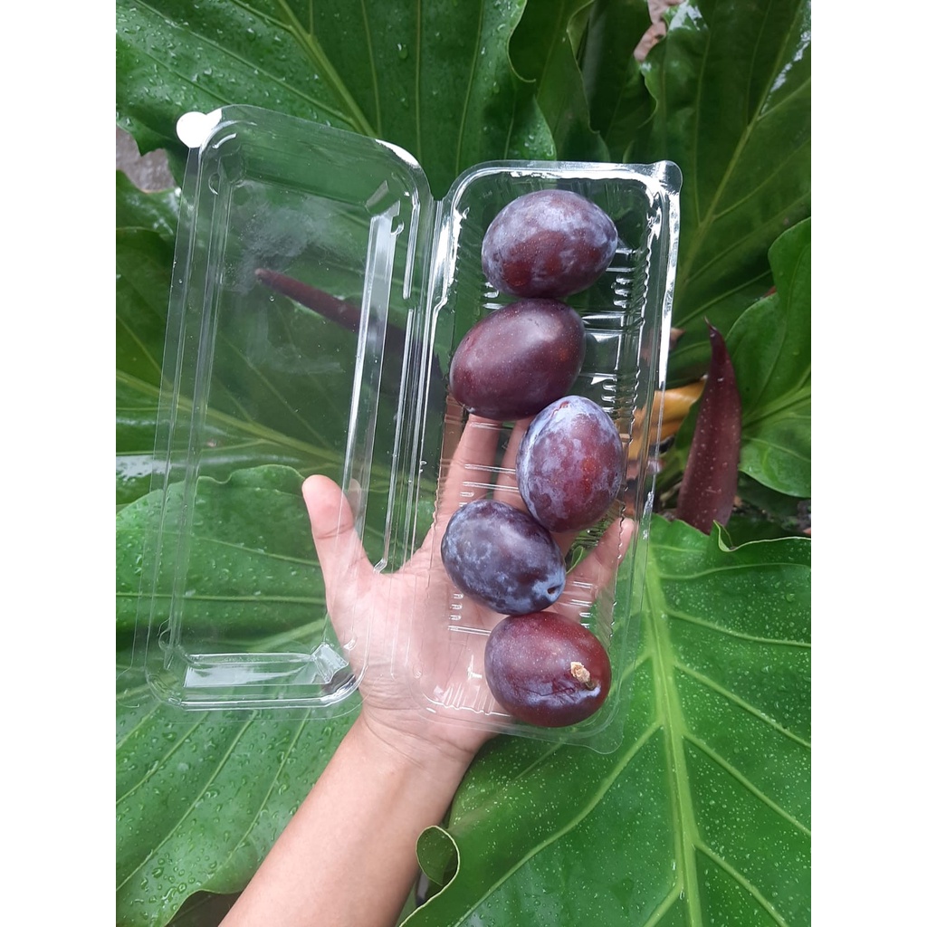 Jual Plum Merah 500 gram | Shopee Indonesia