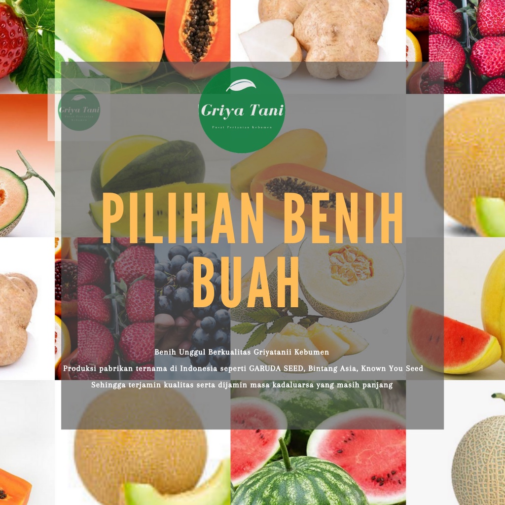 Jual Paket Berbagai Macam Jenis Benih Buah Buahan Bibit Buah Hibrida F1