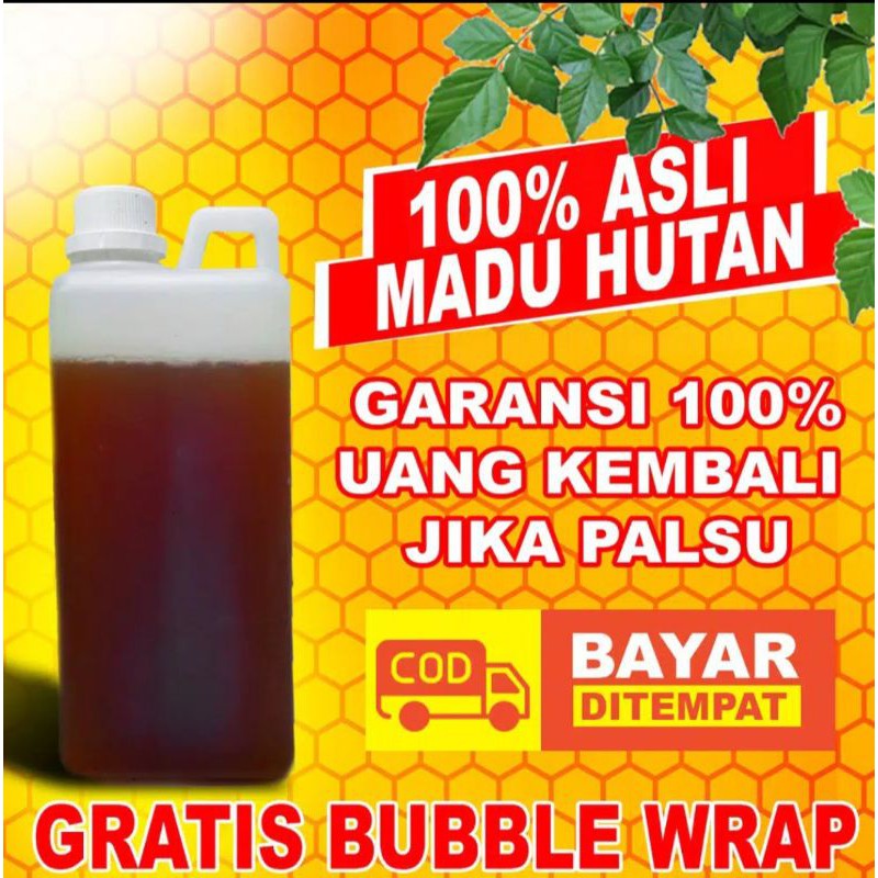 Jual Madu Odeng Hutan 100 Asli Dan Murni Dari Suku Baduy 1kg Manis Shopee Indonesia