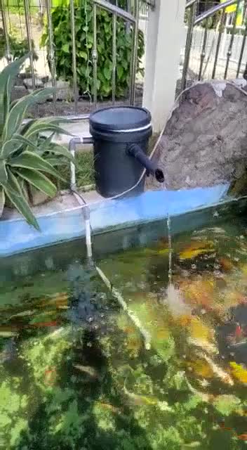 Jual ember filter kolam koi media filter kolam ikan koi | Shopee Indonesia
