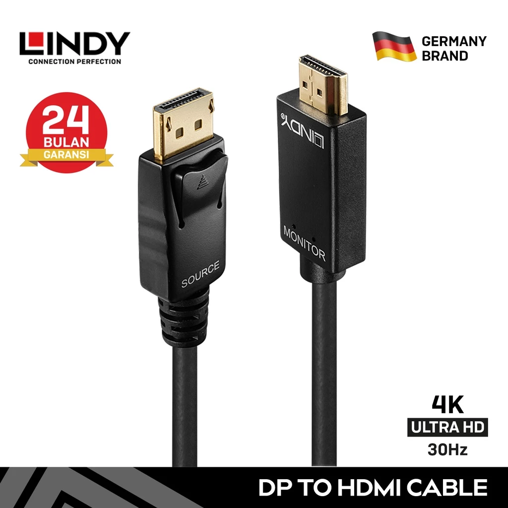 LINDY 41717 2M Kabel Adapter DP 1.2 DisplayPort to HDMI Cable 4K