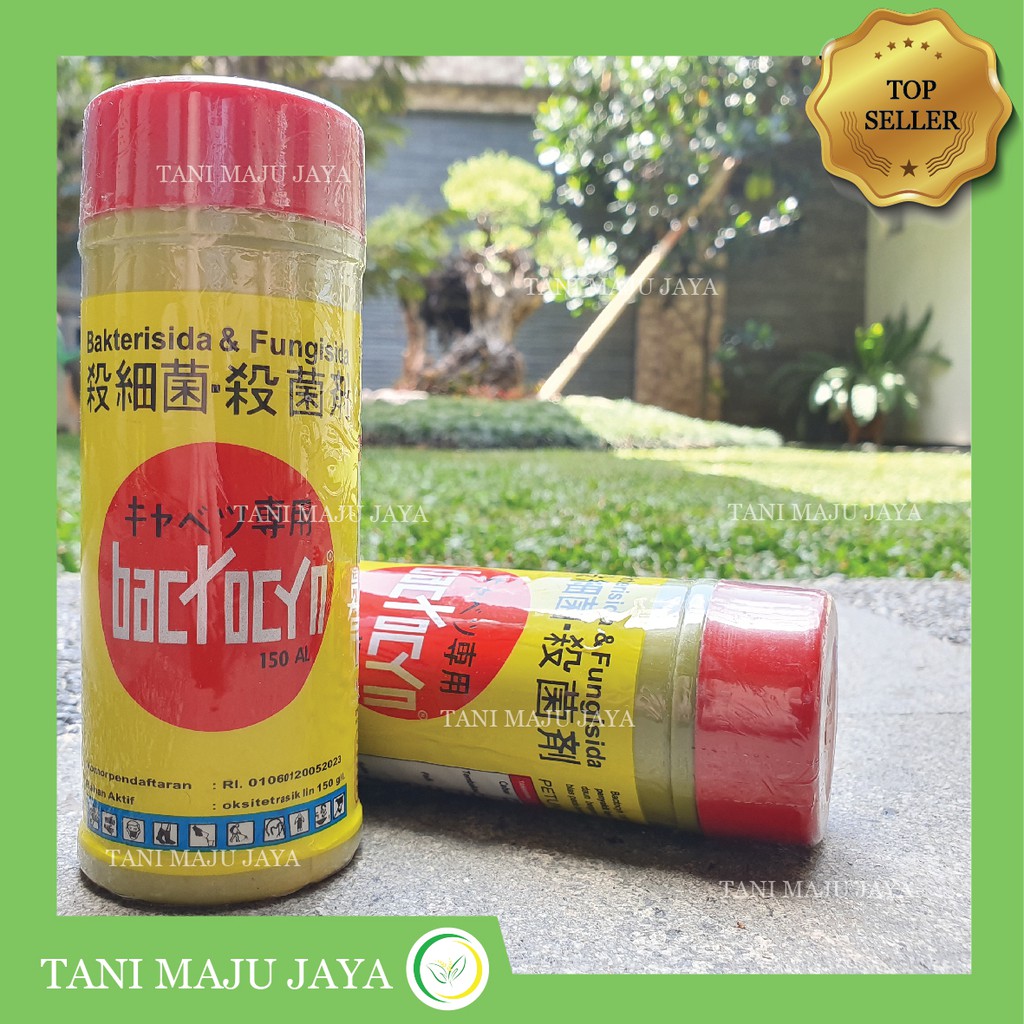 Jual Bakterisida Fungisida Bactocyn 200 ml Obat Jamur Akar Tanaman ...