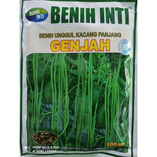 Jual Benih Kacang Panjang Genjah Kemasan Gr Benih Inti Shopee