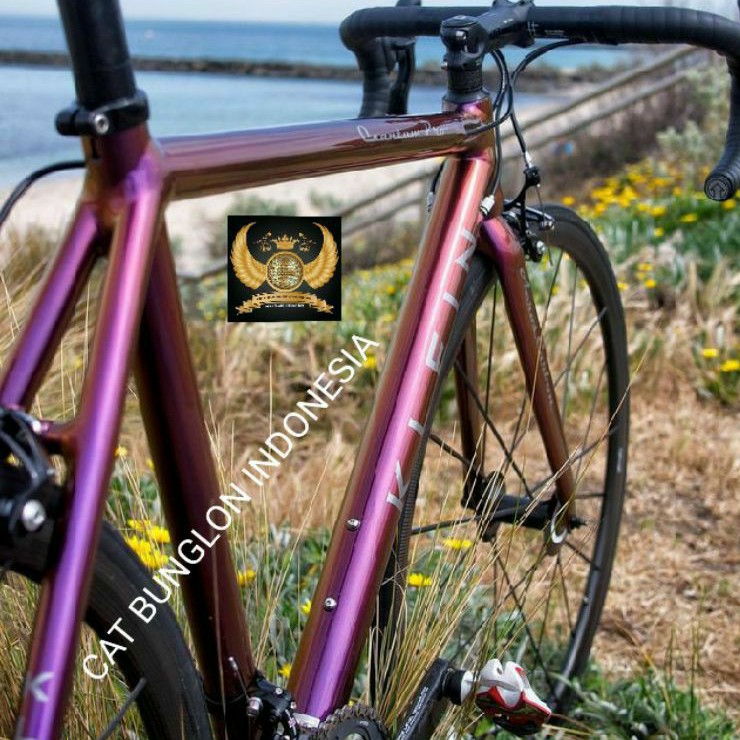 Cat best sale sepeda fixie