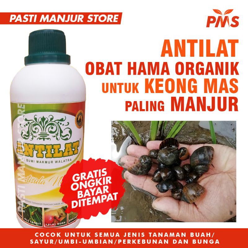 Jual Insektisida Pestisida Organik Antilat Obat Hama Semua Tanaman Pembasmi Keong Mas Shopee