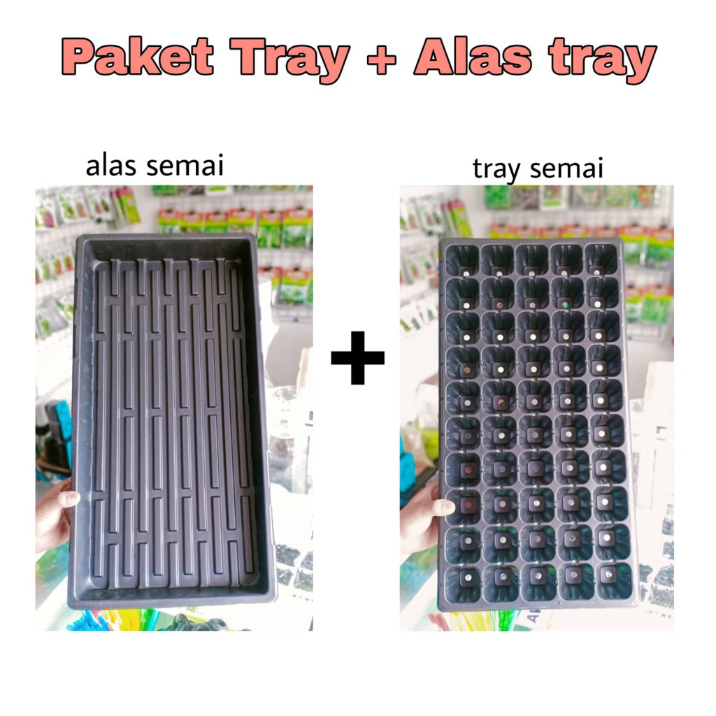 Jual Free Packing Kardus Paket Tray Dan Alas Semai Tray Semai