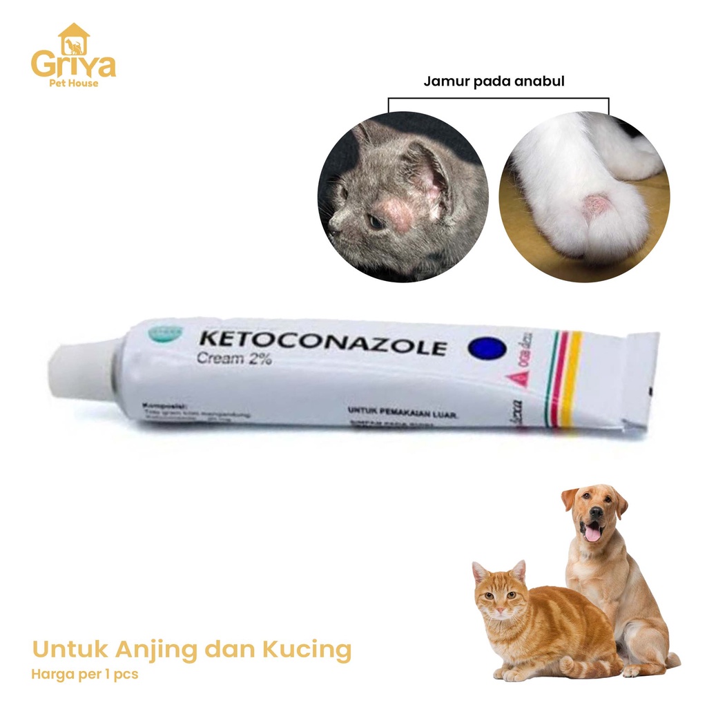Jual obat salep jamur kucing anjing kelinci ketoconazole Obat Luka