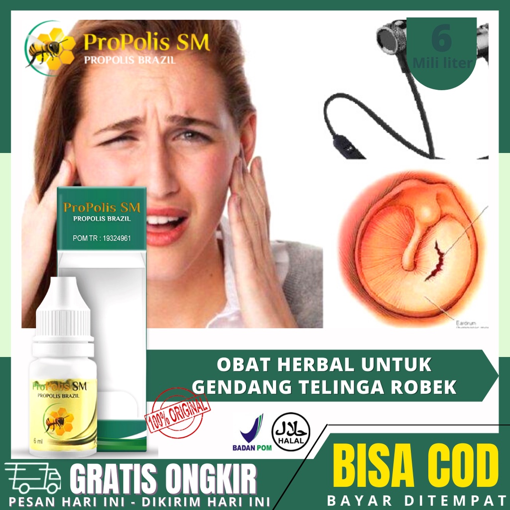 Jual Obat Gendang Telinga Robek Gendang Telinga Pecah Bolong Bernanah Bau Nyeri Telinga 2924