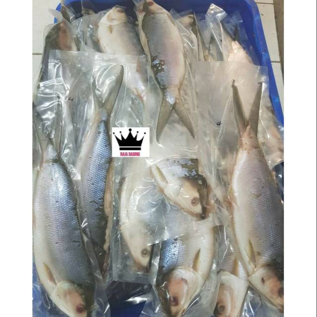 Jual Ikan Bandeng Cabut Duri 1kg Shopee Indonesia