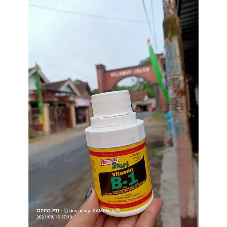 Jual Vitamin B1 (Buat Tanaman) | Shopee Indonesia