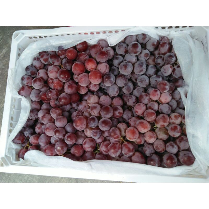 Jual Anggur merah Rrc 500gr/1000gr | Shopee Indonesia
