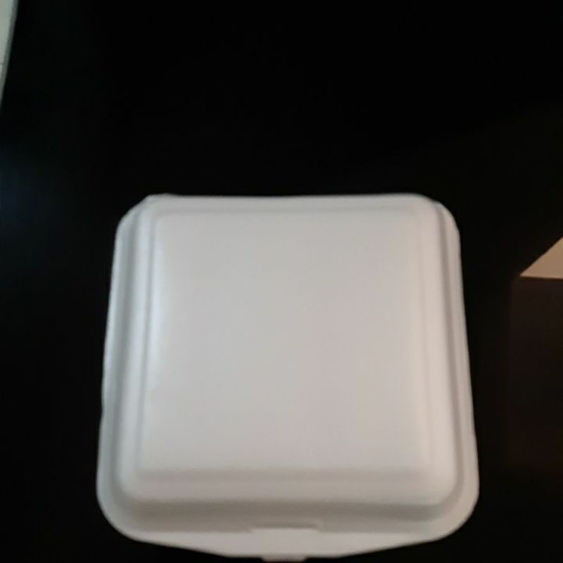 Jual Styrofoam Lunch Box/ Sterofoam/ Box Nasi Gabus/ Uk 19x19x7cm
