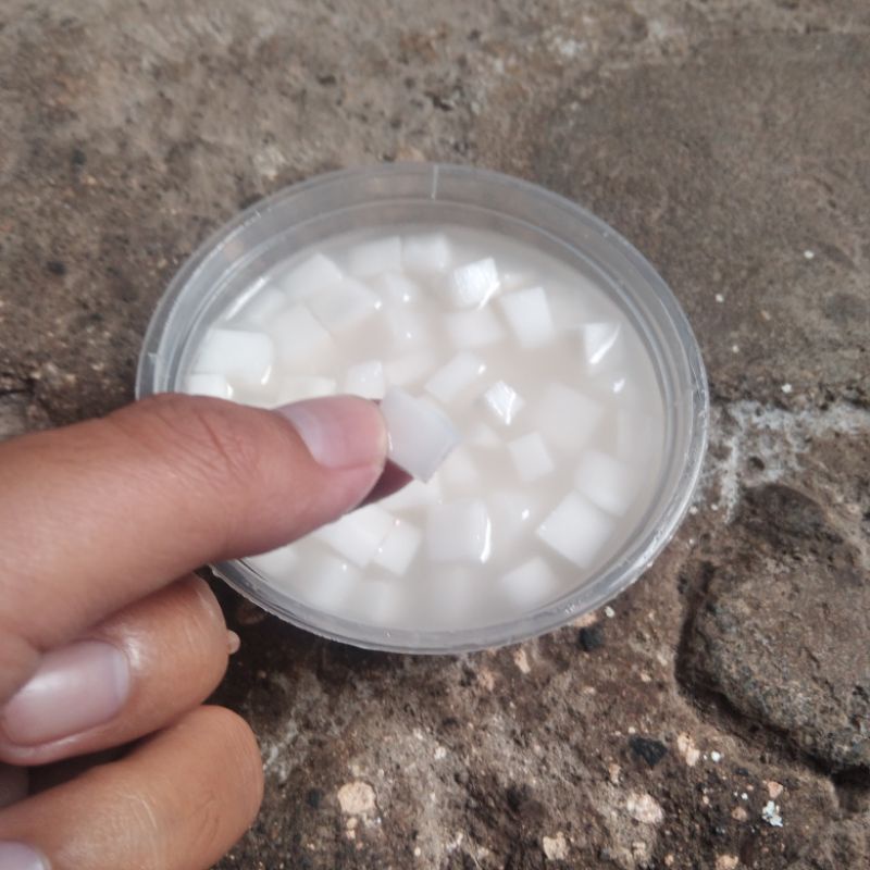 Jual Kelapa Olahan Umpan Mancing Ikan Bawal Master Babon Omset Galatama