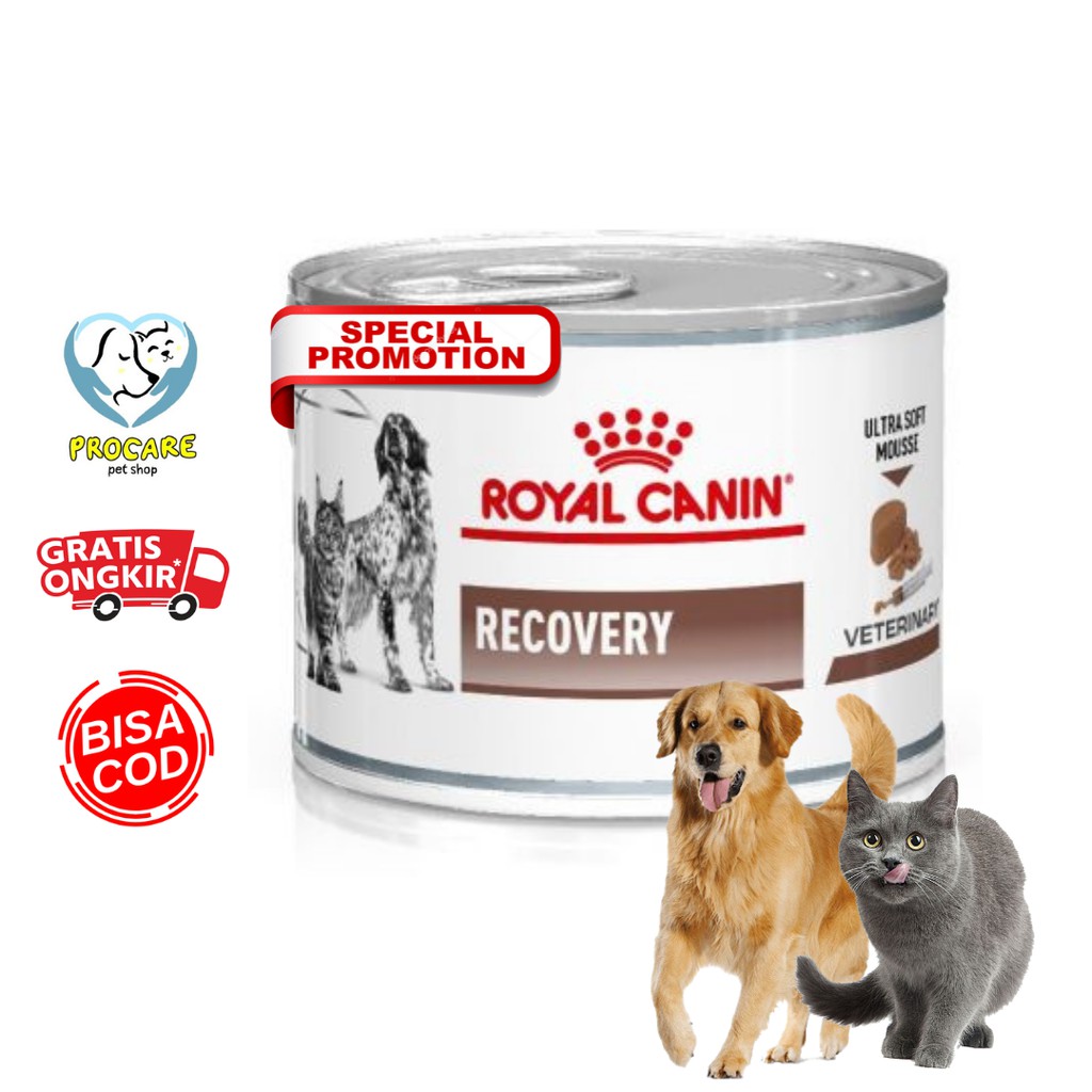 Royal canin clearance recovery untuk kitten