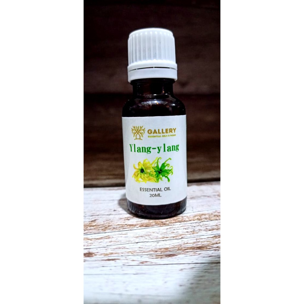 Jual Ylang Ylang (Cananga Odorata) 20ml Essential Oil | Shopee Indonesia