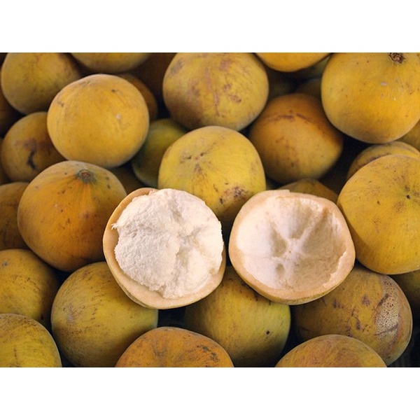 Jual Buah Kecapi Daun Segar Manis Kecapi Lumut 1 Kg | Shopee Indonesia