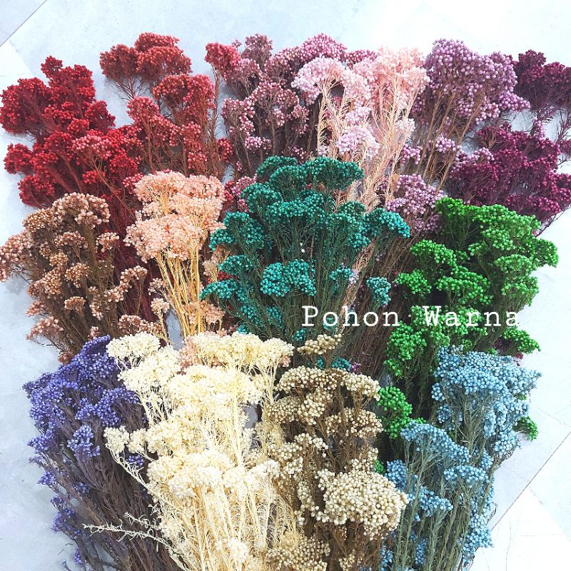 Jual (ECER 5GRAM) Preserved Rice Flower Import / Millet Flower / Bunga ...