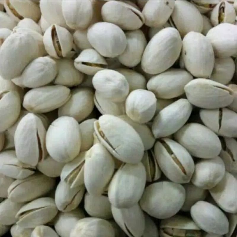 Jual Kacang fustuk | kacang pistacio 500gr kacang oleh oleh.haji ...