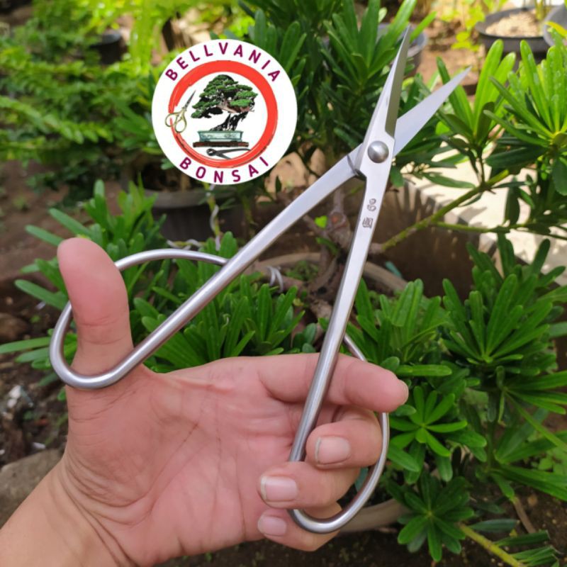Jual Gunting Prunning Daun Dan Ranting 21cm Stainless Steel Kualitas ...