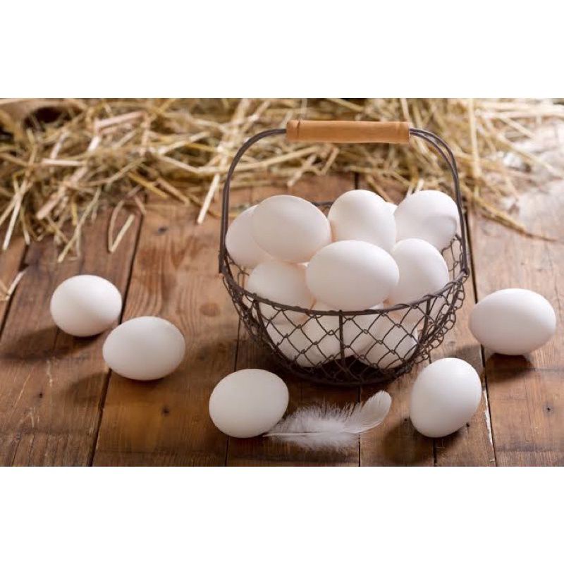 Jual Telur Ayam Kampung / Telur Ayam Kampung Omega / Telor Ayam Kampung