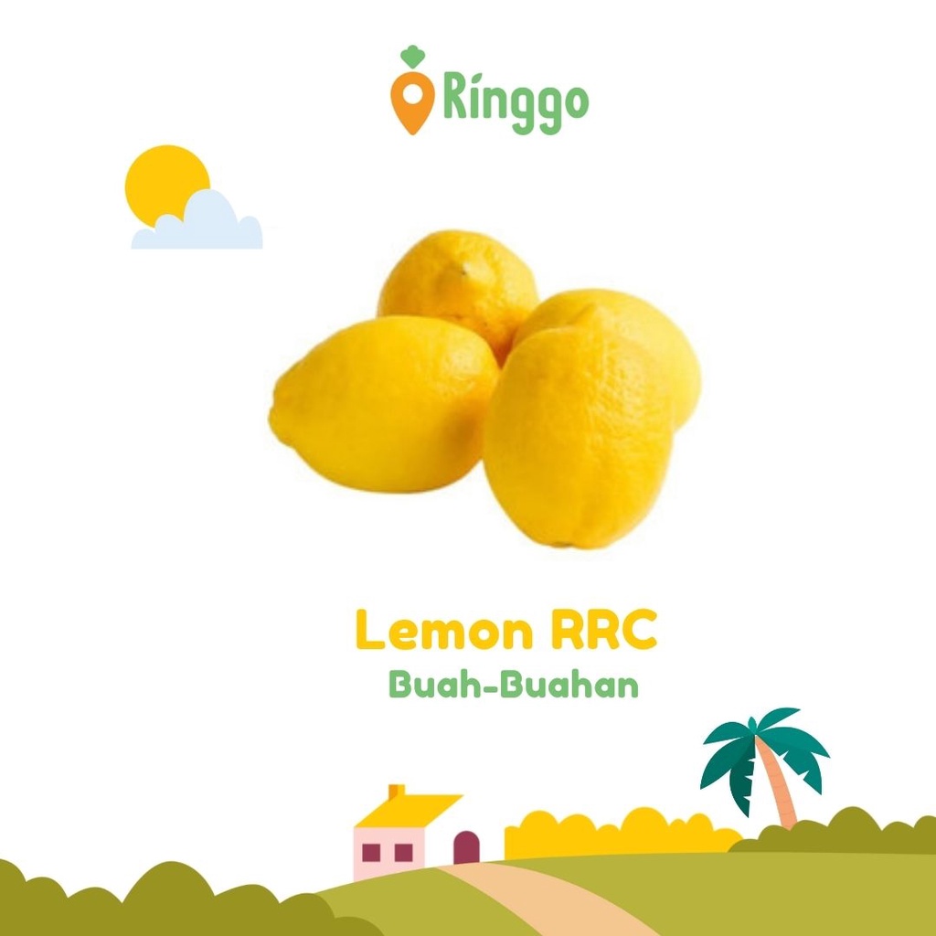 Jual Buah Lemon RRC / Buah Lemin Import 1kg | Shopee Indonesia