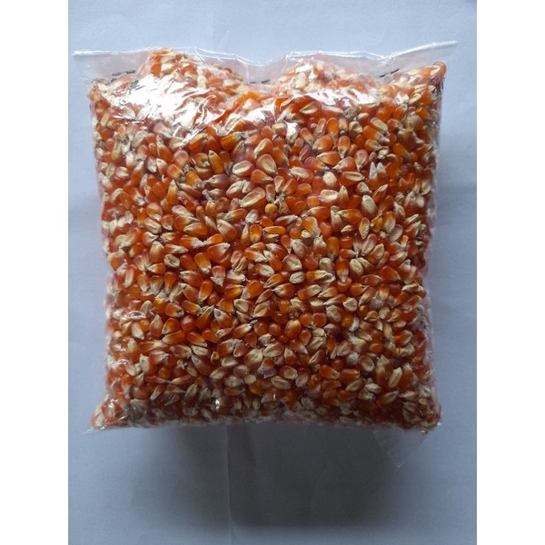 Jual Pakan Jagung Kristal Shopee Indonesia