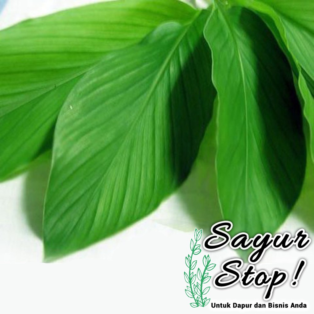 Jual Sayur Stop Daun Kunyit 1 Ikat Shopee Indonesia 1505