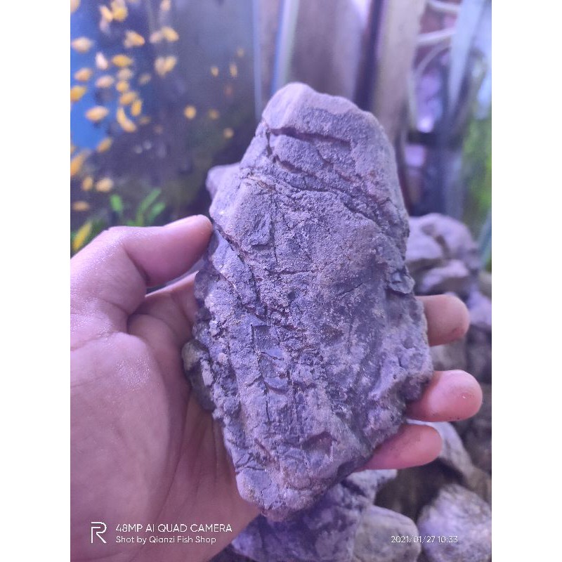Jual BATU TURLY UNTUK AQUASCAPE PER 1 KG | Shopee Indonesia