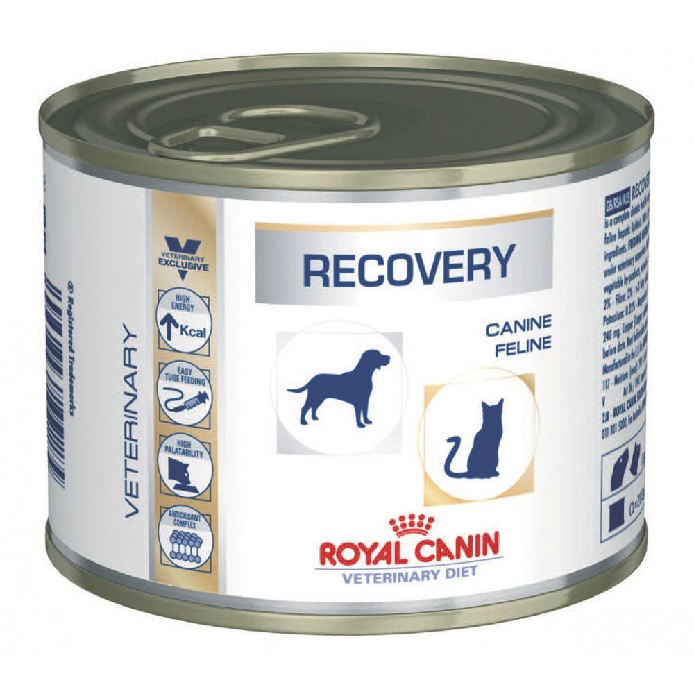 Royal canin recovery sales untuk kitten