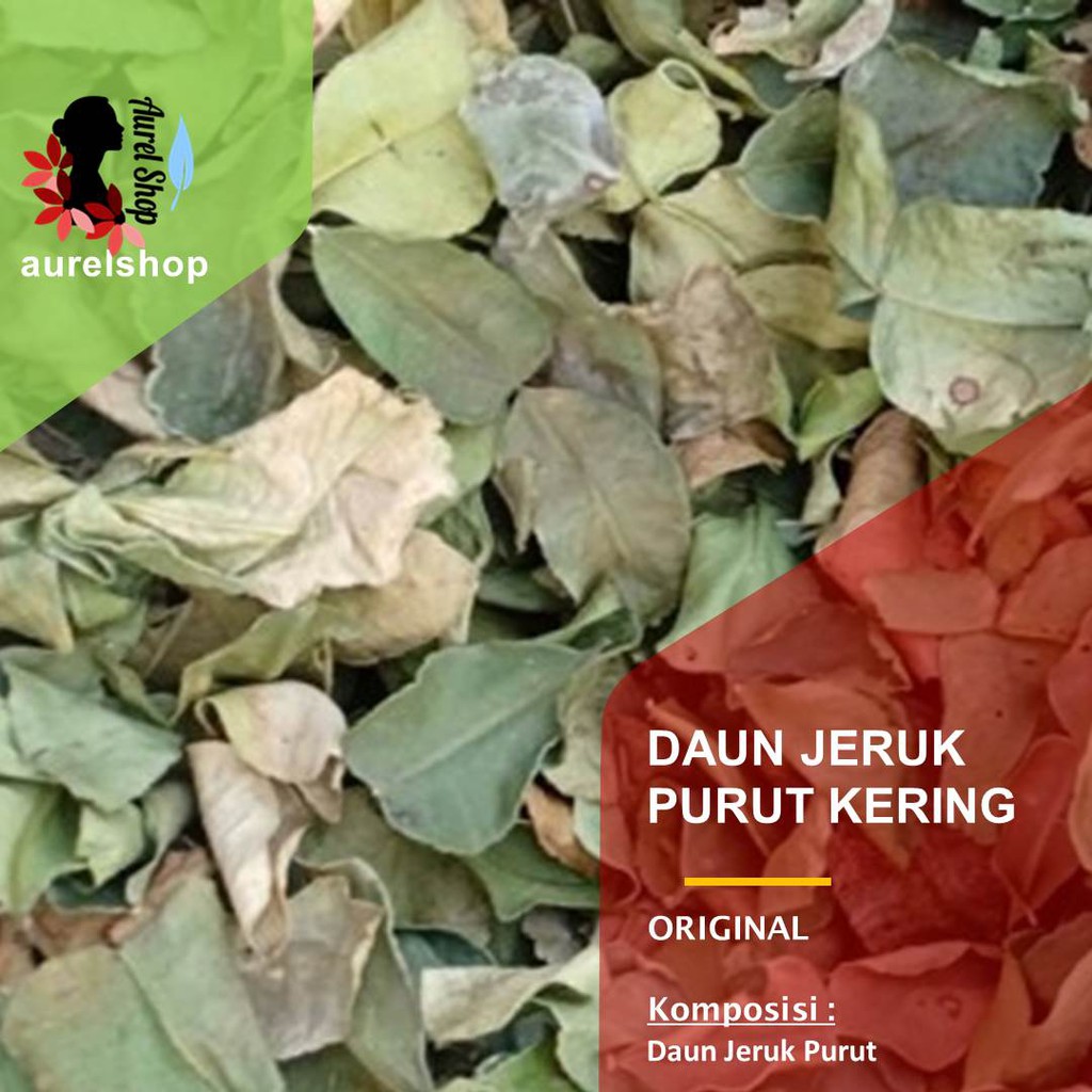 Jual Daun Jeruk Purut Kering Kg Shopee Indonesia