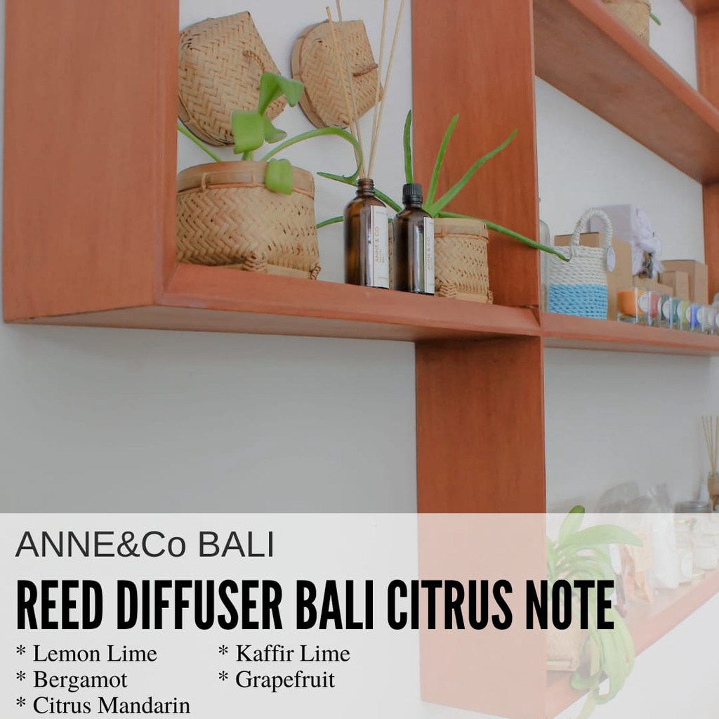 Jual ANNE&Co BALI PREMIUM REED DIFFUSER CITRUS NOTES FOR CANDLE ...