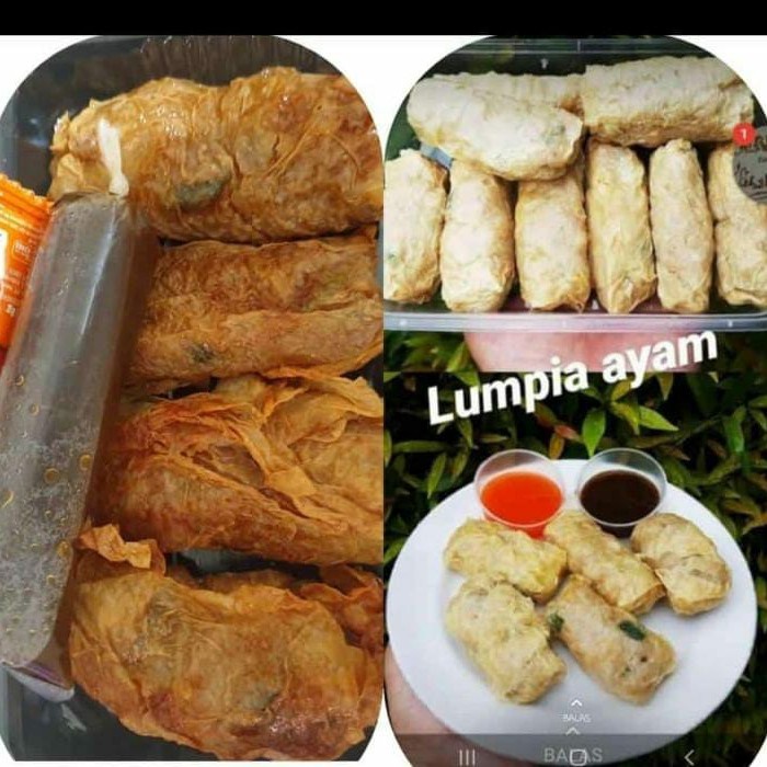 Jual Jps0x 28 Lumpia Ayam Kulit Tahu Shopee Indonesia