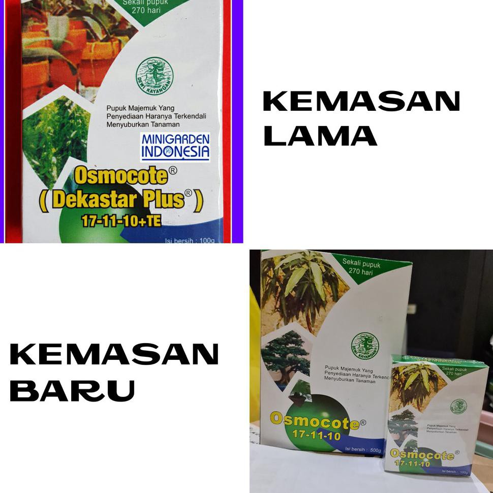 Jual FLASH SHOP OSMOCOTE 100 gram Dekastar Plus 17-11-10 Pupuk tanaman ...