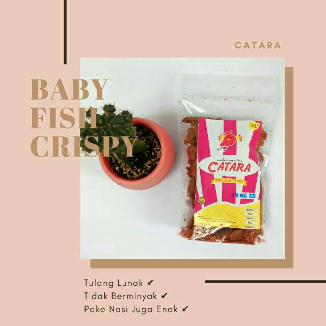 Jual Baby Fish Crispy / Camilan Ikan Nila / Kripik ikan / Camilan ...