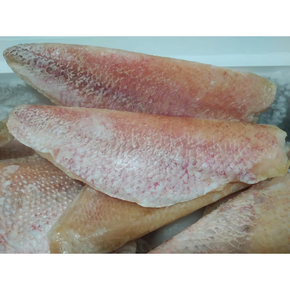 Jual IKAN KAKAP MERAH FILLET FROZEN FRESH SEGAR PUTIH BEKU RED WHITE ...
