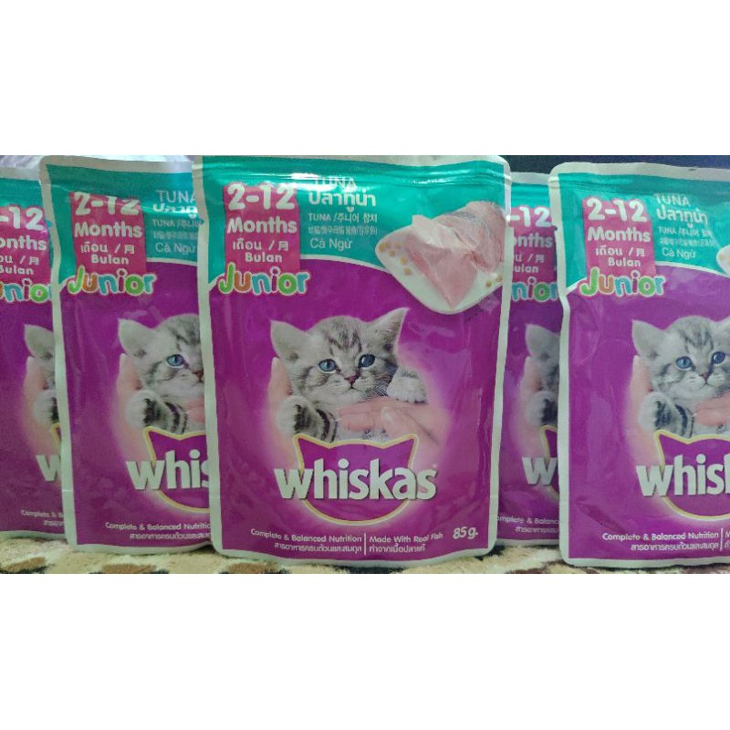 Jual whiskas junior wetfood/ whiskas basah 80gr buat kitten (anak