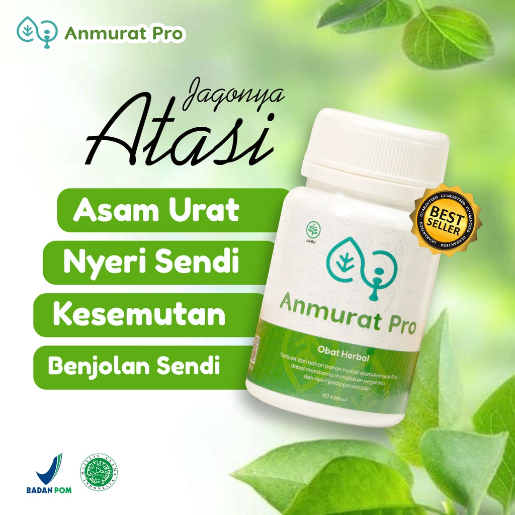 Jual Anmurat Pro Obat Asam Urat Dan Kolesterol Nyeri Sendi Pegal Linu