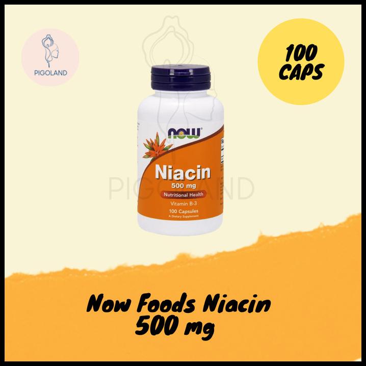 Jual Now Foods Niacin 500 Mg 100 Caps Nutritional Health Vit B3 Vitamin ...