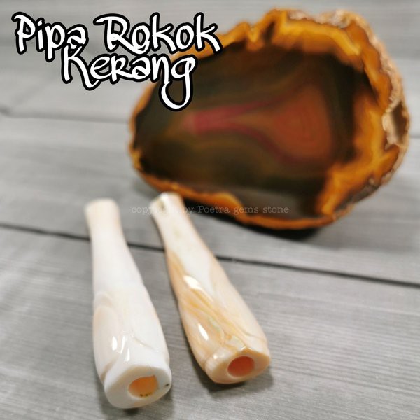 Jual Pipa Kerang Asli Rasa Gurih Dan Nikmat | Shopee Indonesia