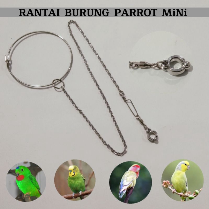 Jual Rantai Burung Lovebird Dan Parkit Atau Sejenisnya Shopee Indonesia