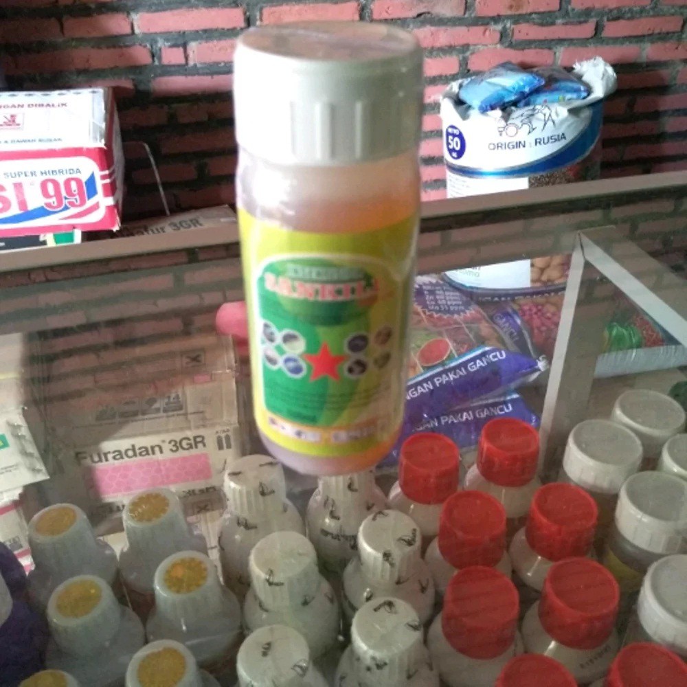 Jual Sankill Sankil 100ml Obat Hama Ulat Grayak Kutu Kebul Kutu Putih ...