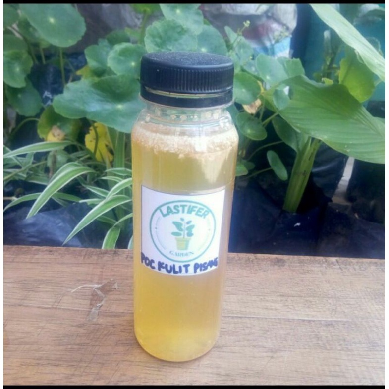 Jual pupuk poc kulit pisang kemasan botol kale 250 ml | Shopee Indonesia