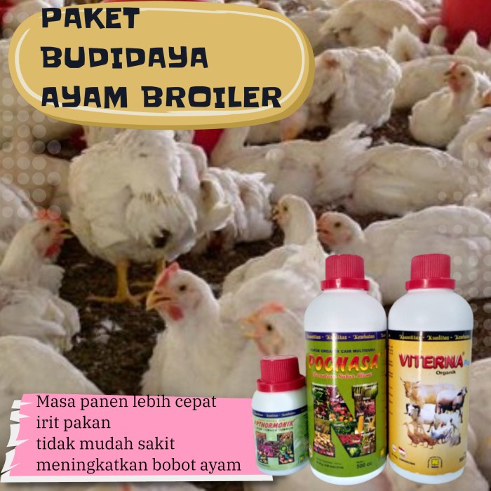 Jual Viterna Vitamin Ternak Penambah Napsu Makan Ayam Boiler Paket